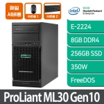 [파일서버 1] HPE ML30 Gen10 E-2224 8GB 256GB SSD FreeDos