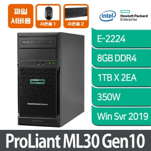 [파일서버 2] HPE ML30 Gen10 E-2224 8GB 1TB HDD X 2EA Win Svr2019