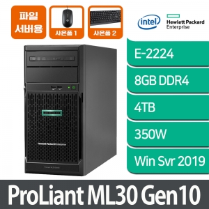 [파일서버 3] HPE ML30 Gen10 E-2224 8GB 4TB Win Svr2019 24인치모니터포함