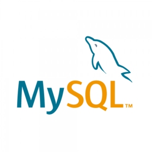 MySQL Standard Edition [1-4 socket server / 서브스크립션(1y)]