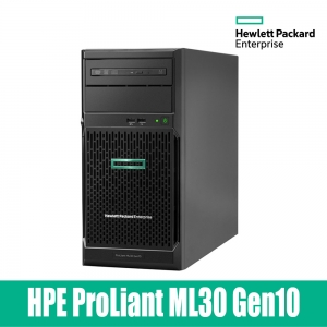 HPE ML30 Gen10 E-2224 Tower형 서버 1TB P16926-371 파일서버 백업서버 기업서버 중소기업서버